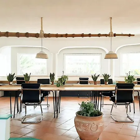 Quinta Flamingos - Live, Work, Play Guest house
